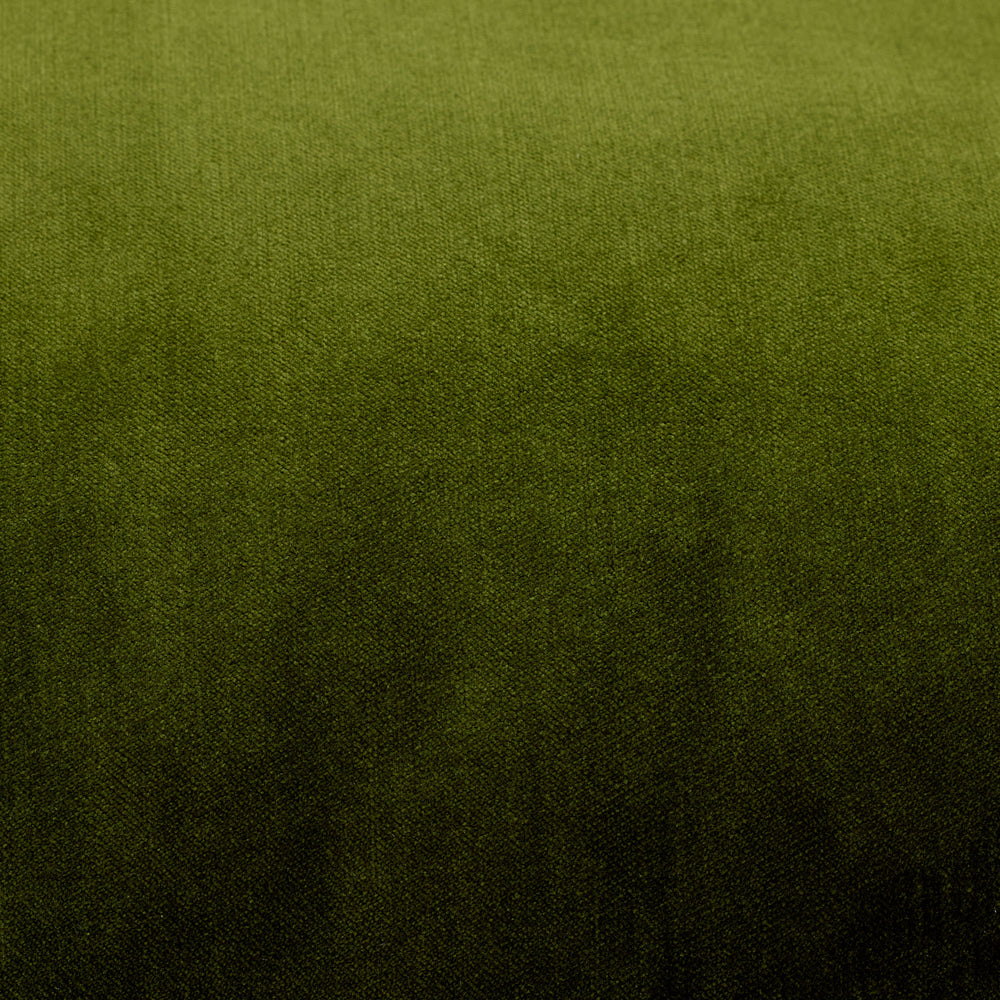 Sample DALILA vert olive